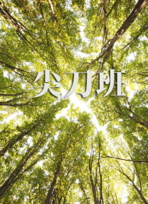 91免费观看视频在线