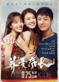 中文字幕在线观看免费
